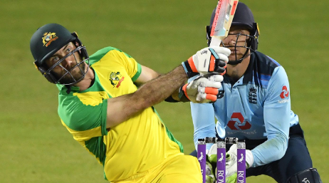Cricket Image
