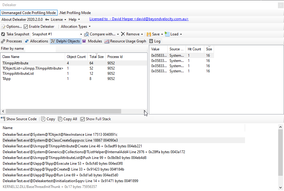 Deleaker results showing deliberately introduced memory leaks