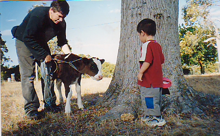 Farm with Rainen